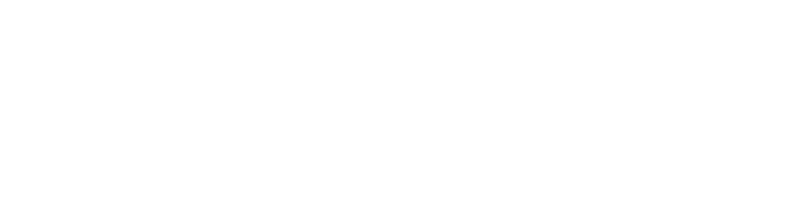 Model Legislature Logo